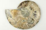 Cut & Polished Ammonite Fossil (Half) - Madagascar #200052-1